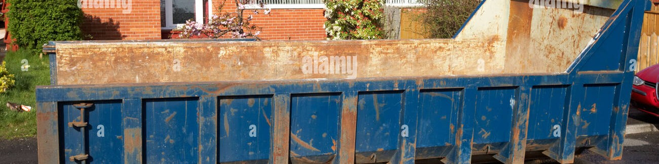 RoRo Skips Background